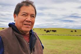 Standing Rock rancher runs nation's largest native-owned buffalo herd