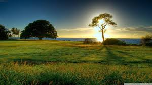 Nature Wallpapers Wallpaper Cave Discover the best neutral wallpapers here at homebase. nature wallpapers wallpaper cave