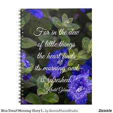 Blue Dwarf Morning Glory Inspirational Quote Notebook Zazzle Com Inspirational Quotes Glory Quotes Morning Glory