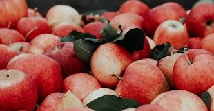 Yet, apple & eve buy apple concentrate from china. Coronavirus And Adverse Weather Threaten Apple Juice Supplies News The Grocer
