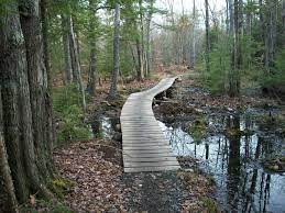 Pin By Carrie Armiger On Tracks And Trails Mountain Bike Trails Bike Trails Mountain Bike Tour