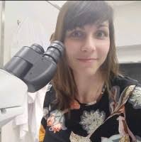 500+ "Scalise" profiles