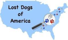 Check spelling or type a new query. Microchip Lookup Detailed Guide