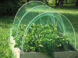 Bird netting works for all birds including pigeons, sparrows, starlings, gulls, vultures, crows, birds of prey and more. Bird Netting Americannettings Com 1 800 811 7444 Garden Netting Above Ground Garden Garden