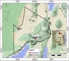 Image result for Gutenbergia