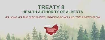 Enter search terms and tap the search button. Photo