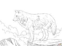 Wolf coloring pages for adults 5 5 1 votes have you checked out the wolf coloring pages that i published a couple of days ago. Realistic Wolf Coloring Pages To Print Coloring Home