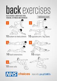 Back Exercises Flexibility Workout Back Strengthening Exercises Back Exercises