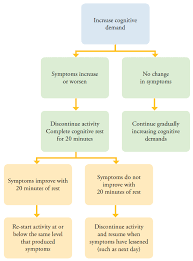 an educators guide to concussions in the classroom