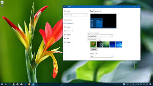 Windows 10, microsoft windows, cyan, cyan background, backgrounds. How To Set Different Wallpapers On Multiple Monitors In Windows 10 Windows Central