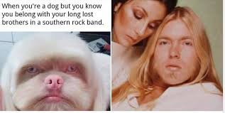 Gregg allman and wife Cher 👫