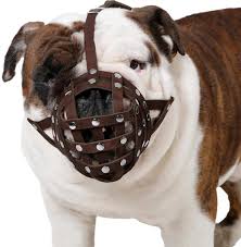 Buy products such as downtown pet supply best no pull, step in adjustable dog harness with padded vest, easy to put on small, medium and large dogs (pink, s) at walmart and save. Buy Collardirect Basket Dog Muzzle For Boxer English Bulldog American Bulldog Secure Leather Muzzle Online In Uk B00jh35ftw
