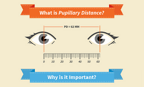 One of the key measurements required for making eyeglasses is the pupillary distance (pd). What Is Pd And Why Is It Important Zenni Optical