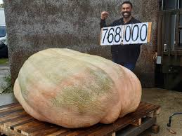 L'homme le plus lourd du monde déclarait que s'il avait atteint ce poids record en 2006, c'est à cause des burgers, pizzas et boissons gazeuses qu'il manuel uribe mesurait 1,90 mètre (en hauteur), il était incapable de quitter son lit depuis 2001. Avec Pres De 770 Kilos Medhi Bat Le Record De France Du Plus Gros Potiron Les Nouvelles De Sable