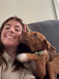 Adoptable puppy in Ada, Oklahoma