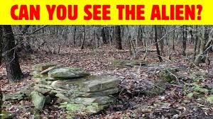 Illusion hidden images in pictures. Nobody Can See All The Hidden Animals Level 2 Optical Illusions Brain Teasers Youtube