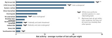 Bat Population Monitoring In Petersburg National Battlefield