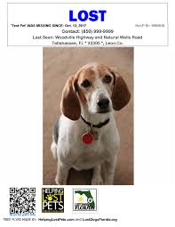 Lost pet flyers overall produce the best results (finds) than any other action but you do want to be careful what information you put on the lost pet by withholding some information might help you later to verify the pet someone has found is actually your pet and not a scam, and verify the pet. Free Flyers Lost Dogs Florida