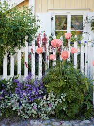 Daffodils are perennials, and so they will continue to blossoms year after year from their hardy and resilient underground bulbs. What To Plant In Winter In Each State In Australia Realestate Com Au