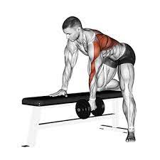 Krafttraining für zuhause ohne geräte, das ist die moderne antwort auf klassische fitnesskonzepte. á… Richtiges Hanteltraining Zu Hause Trainingsplan Bilder Videos