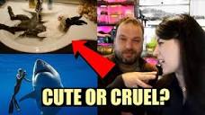 PET YouTuber Reacts To Viral Animal Videos | EMZOTIC - YouTube