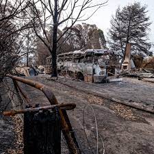 Australia Fires The Viral False Claim Of 200 Arsonists Starting Bushfires Explained Vox