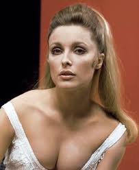 Roman and sharon erome - Best adult videos and photos