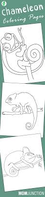 Chameleon Coloring Pages Free Printables Momjunction Coloring Pages Chameleon Animal Coloring Pages