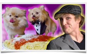 Kong Logan Paul S Dog Facts That Will Blow Your Mind Known Pets Dog Facts Logan Paul Pets