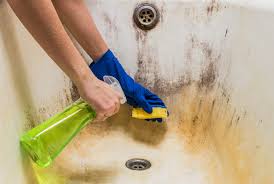 how to clean a bathtub, no matter how