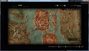 ウィッチャー3 攻略