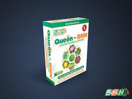 Chế phẩm sinh học Queen – BNN – Sinh học BNN