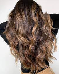 The maintenance level of highlights on dark brown hair can vary based on the highlights you decide to get. 50 Best Hair Colors And Hair Color Trends For 2021 Hair Adviser