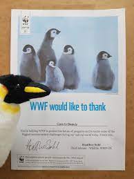 Gilbert c, robertson g, le maho y, ancel a (2008) how do weather conditions affect the huddling. Battle Climate Change Adopt A Penguin Care To Beauty