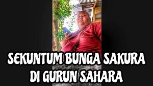 Walaupun sudah mencecah 30 tahun sejak kali pertama diterbitkan pada 1988 menerusi album wings hukum karma, lagu ini masih malar segar dan masih diterima baik peminat muzik tempatan. Sekuntum Bunga Sakura Di Gurun Sahara Lagu Rock Kapak 80an 90an Chords Chordify