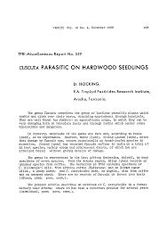 Image result for Cuscuta cassytoides