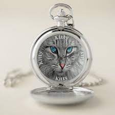 pin on cat funny