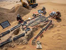 Horned bovine-like skeleton found in Taklamakan desert?