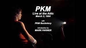 THE ACCELERATORS "Stiletto" (1984)