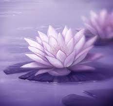Lotus The Lotus Flower Has Eight Petals Which Correspond To The Eightfold Path Of Good Law It Is One Of The M Lotus Art Spiritual Images Lotus Flower Meaning