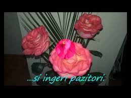 Sa te pupe norocul si sa ai numai zambete si soare in calea ta! Pin On Flori