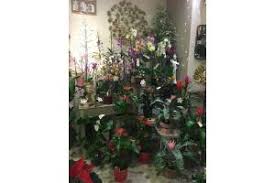Gamm vert boulogne sur gesse. Jardinerie A Boulogne Sur Gesse 31350