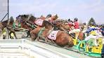 “Aiming to Become a Champion” On April 12, Banei Keiba ...