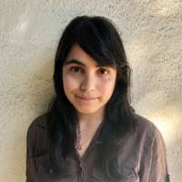 Todd Steinman Email & Phone Number