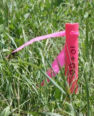 Berntsen International, Inc. > Surveying > Survey Stakes > Plastic Survey  Stakes