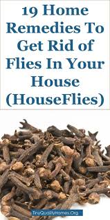 19 Home Remedies To Get Rid Of Flies In Your House And Outdoors Houseflies This Guide Shares Insight Fly Repellant Home Remedies For Flies Get Rid Of Flies