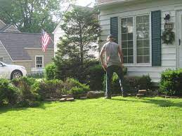Mar 23, 2021 · take a strategic approach to removal. How To Remove Large Bushes In An Hour Bush Big Bush Outdoor Landscaping
