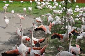 Gaiazoo is een dierentuin gelegen in kerkrade, in het zuidoosten van de nederlandse provincie limburg. Ausflugstipp Fur Familien Zu Besuch Im Gaiazoo Kingkalli