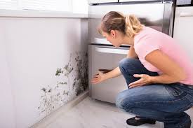 Hai muffa in casa da qualche anno e hai già provato i classici rimedi come candeggina, spray e pitture antimuffa senza risolvere? Muffa In Casa I Rimedi Naturali Per Eliminarla Per Sempre
