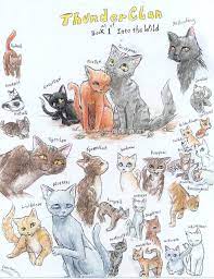 Cats Of Thunderclan There S Lots More Warrior Cats Books Warrior Cats Warrior Cats Art